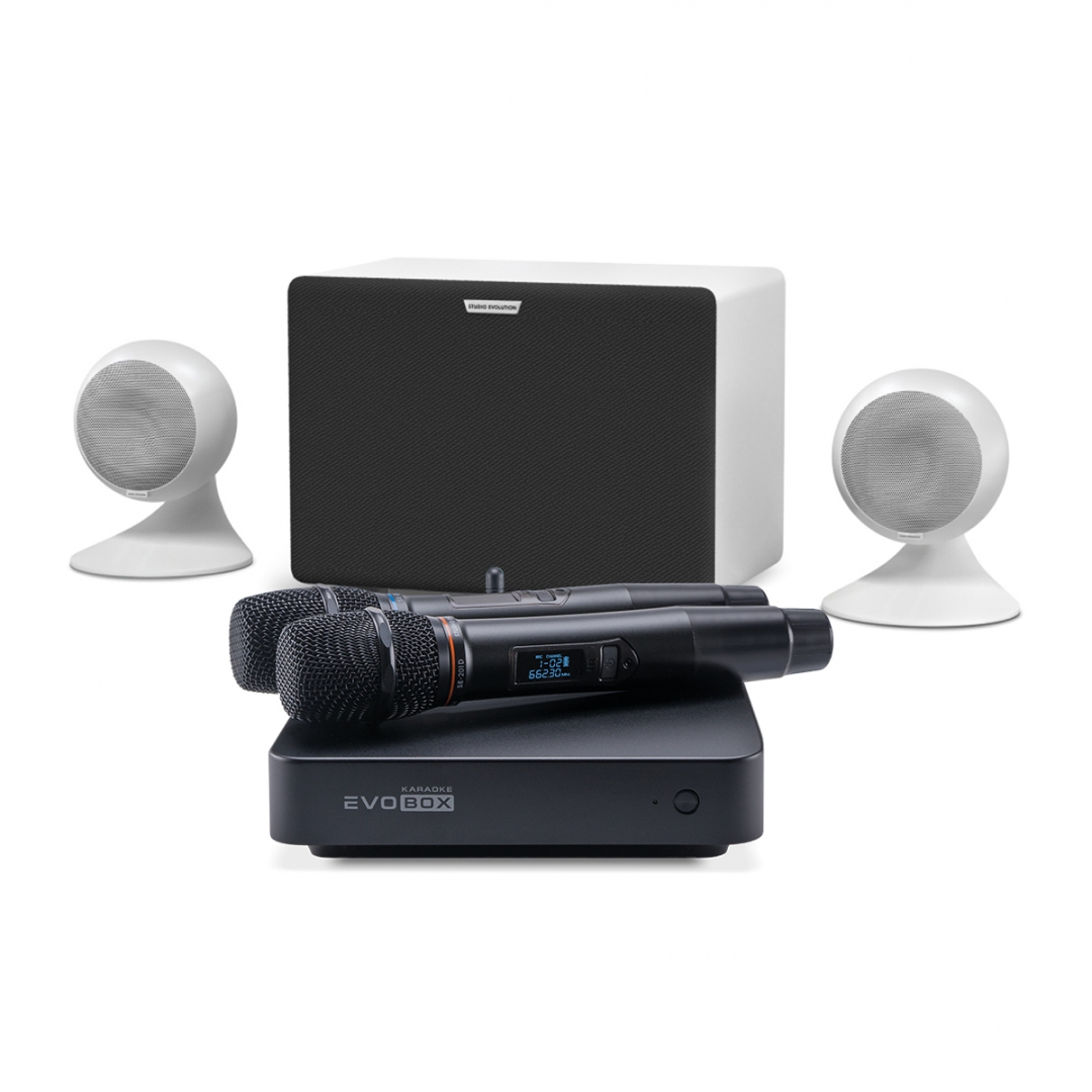 караоке-комплект EVOBOX Classic + EvoSound Sphere 2.1 в Калининградской области
